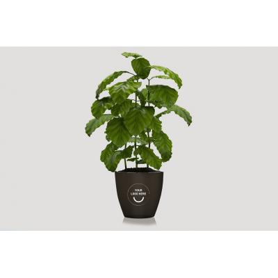 Image of Coffee Waste Flower Pot 
