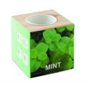 Image of Menta Herb Pot