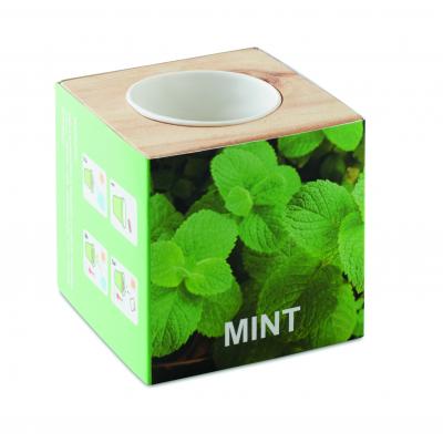 Image of Menta Herb Pot