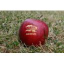 Image of Branded Apples - ''100% ECO!''