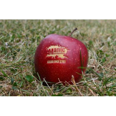 Image of Branded Apples - ''100% ECO!''