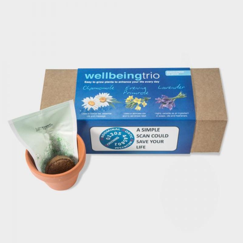 Image of Indoor Garden set - BRITISH MADE