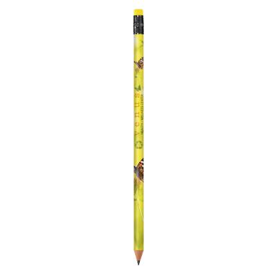 Image of  BIC® Evolution Classic Ecolutions® Pencil ''Made of yogurt pots''